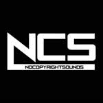 2011NCS