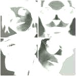 Gorillaz