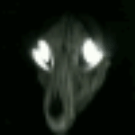 vdpak