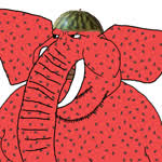 Watermelephant