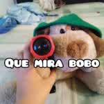 ElAndreyxd