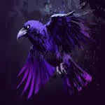 User123754