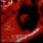 SM2024666