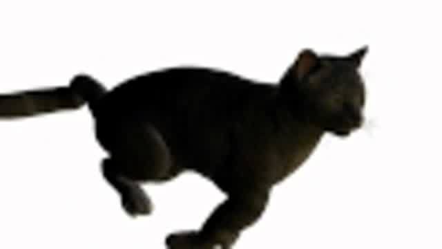meow! sad toy cats.wmv