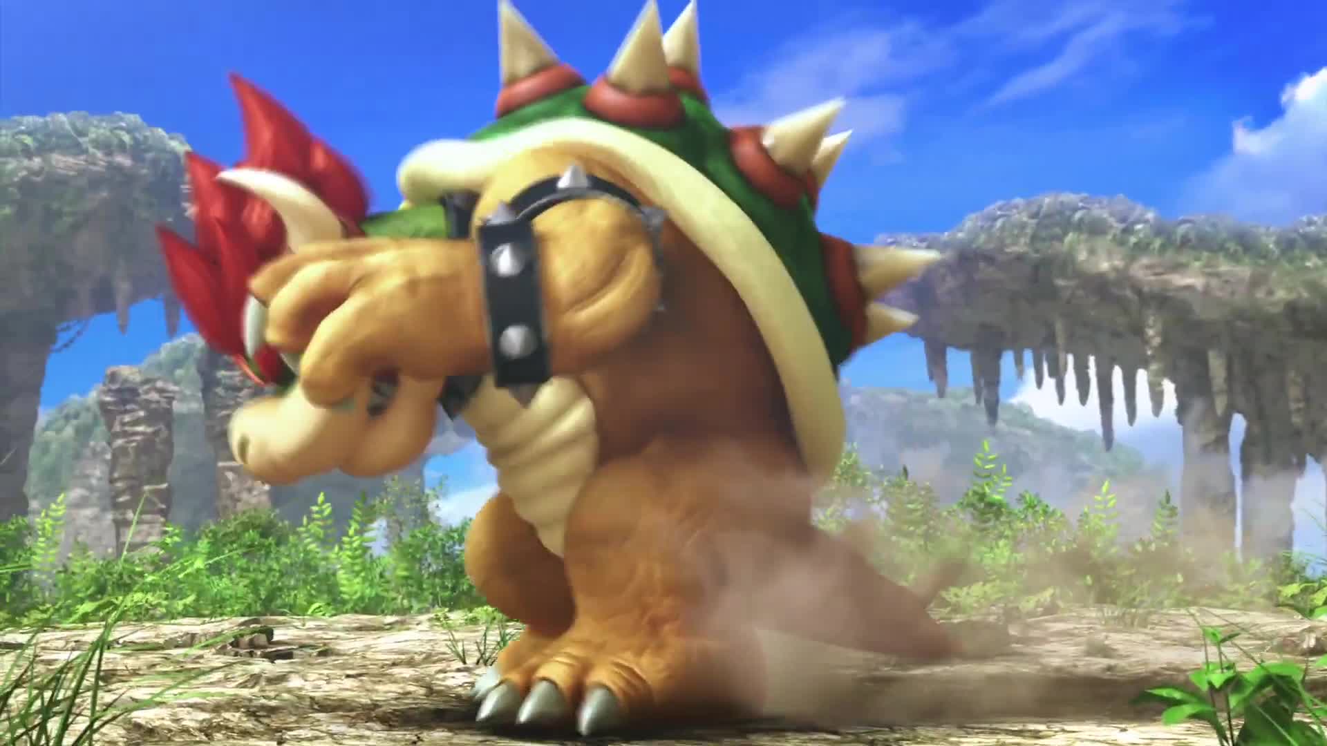 Super Smash Bros. for 3DS/Wii U Looks like we don't have a choice!
