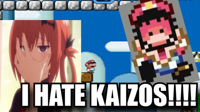 STOP KAIZOS!!
