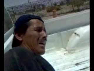 pingo lloron de mexicali