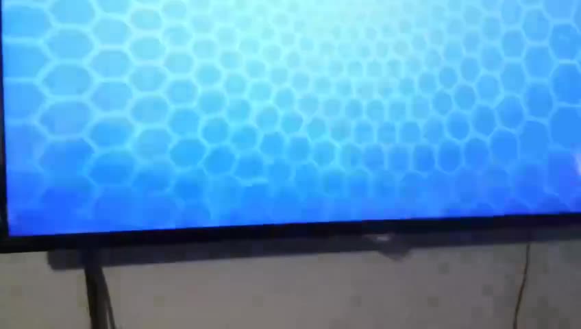 Defensores Petronix - Misión: rescate Pelicano dalmata (Esp Latino)