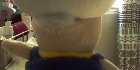 Toad
