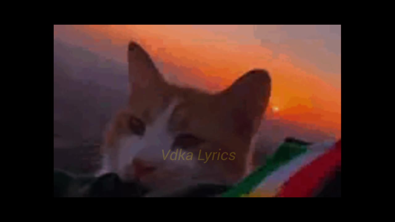Leila Forouhar - del ey del "دل ای دل " Lyrics español