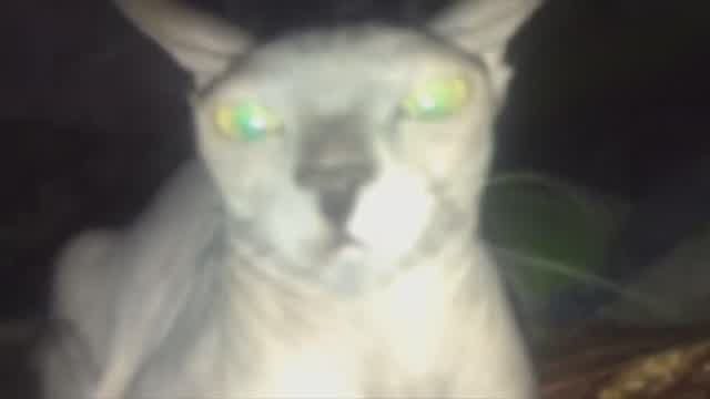 666:2100