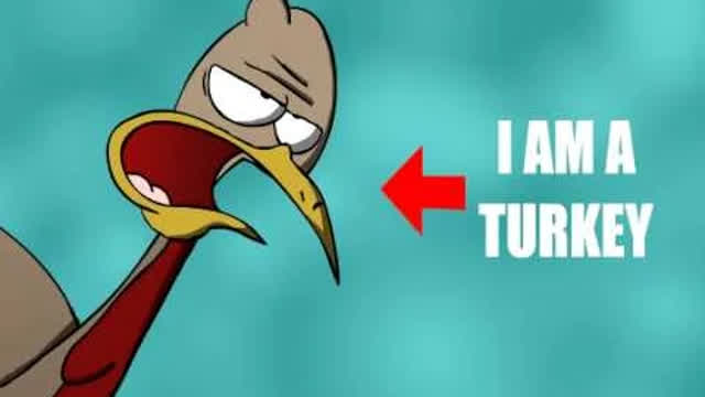 Turkeys
