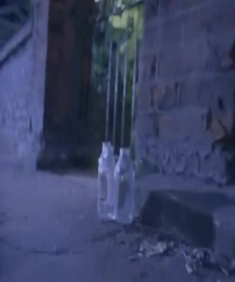 The Lovecats