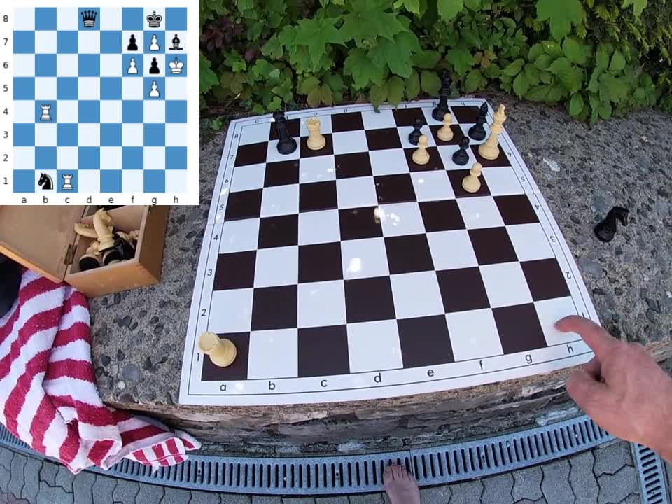 Avoiding stalemates is the issue. Study by Peter Krug