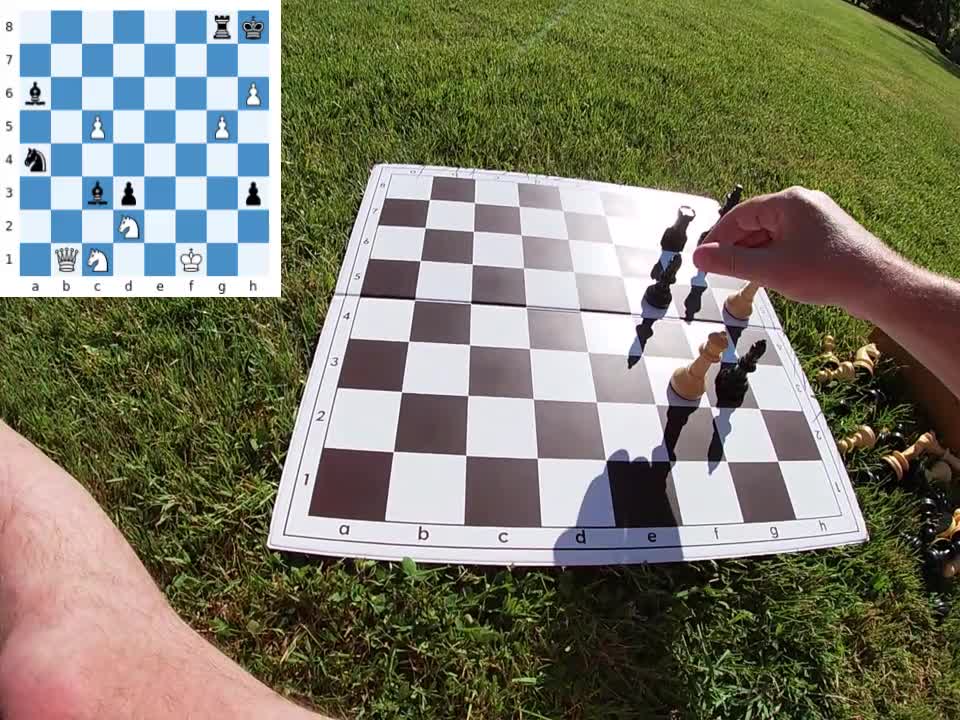 Chess study with 2 main variation – by Peter Krug
