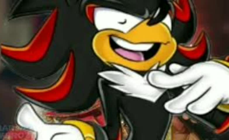 Shadow Canta Together Moment