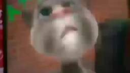 video.3gp