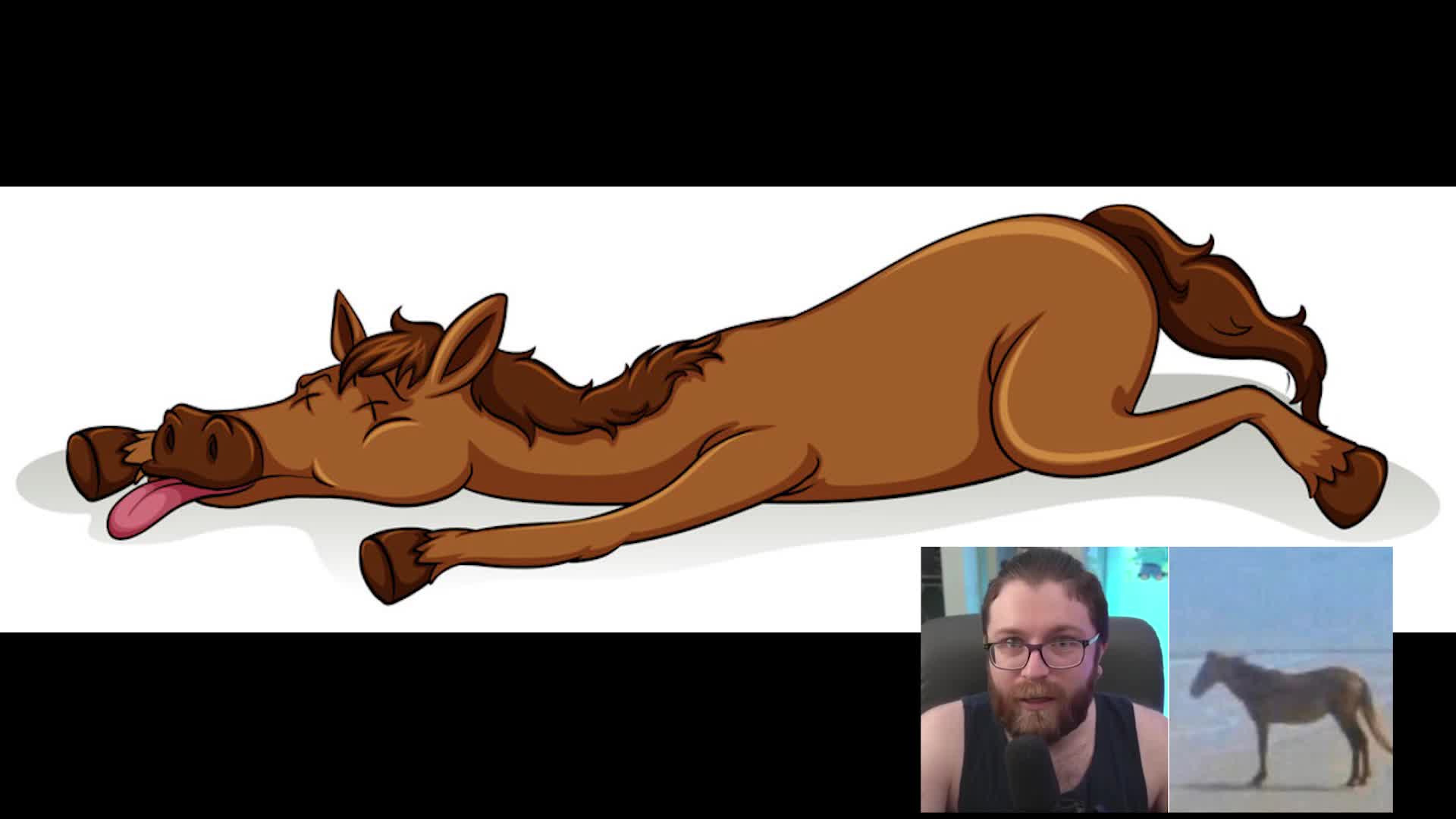 The HorseFucker Song