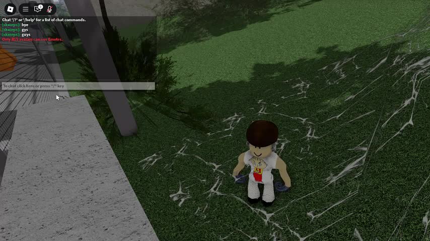 skate