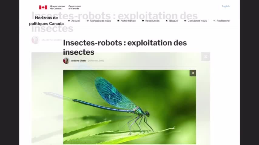 Le Bug Reset