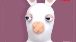 In 2007 Bunnies Won't Shout