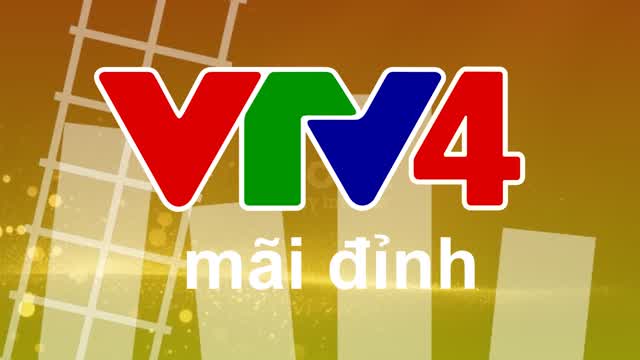 Split Screen VTV4 (Add Round 1)