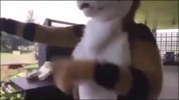 video0-34