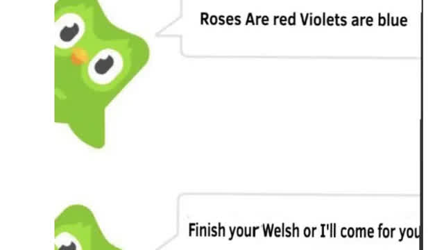 I crashed Duolingo 😈
