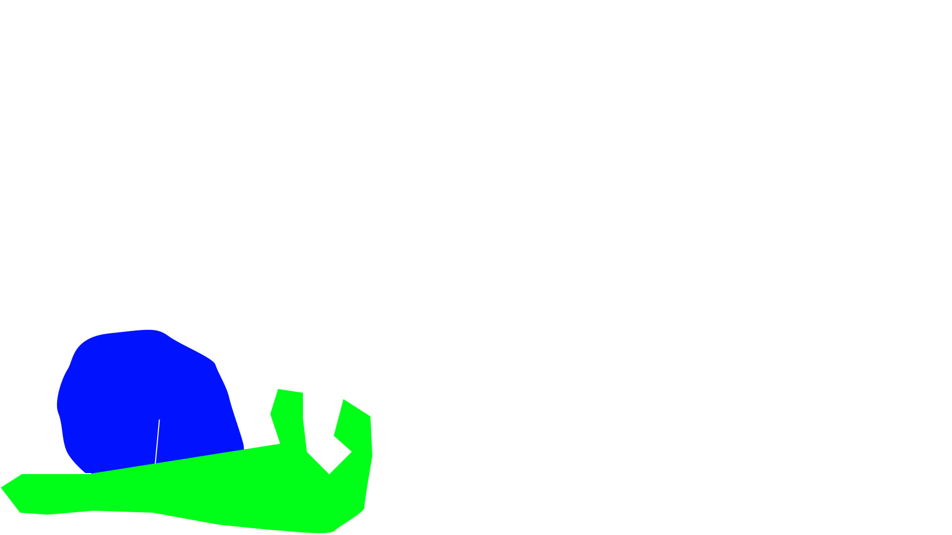 caracol reptando