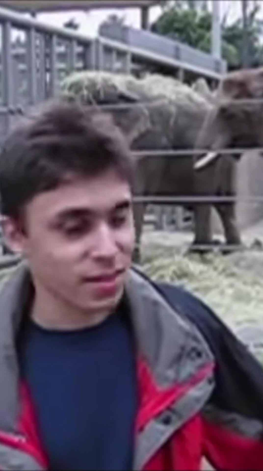 Me at the zoo but Jawed is interrupted by the scream meme