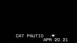 My cat patio or playgroud and some footage of the cats