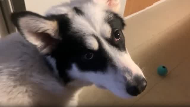 Testing My New Phone