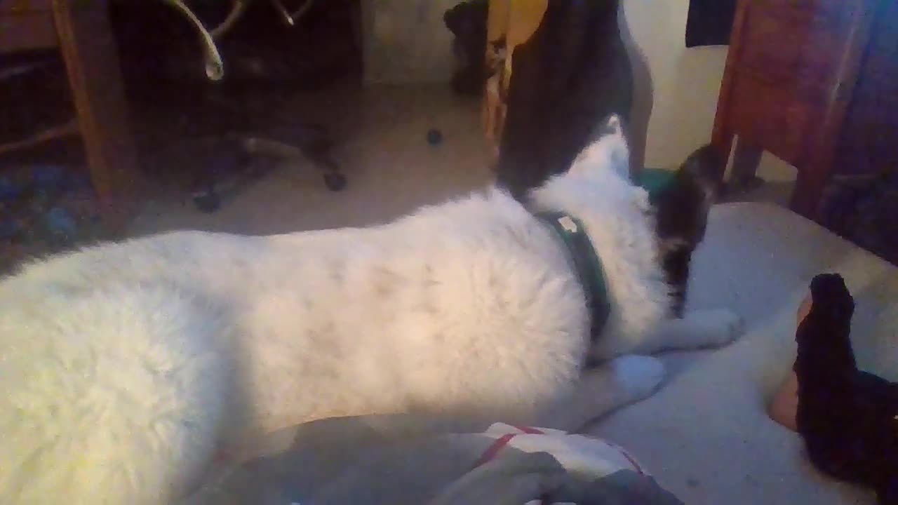 She Noticed The Camera lol