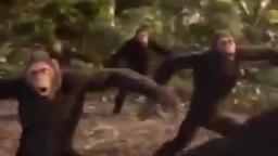 monke