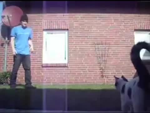 dude sends cat flying