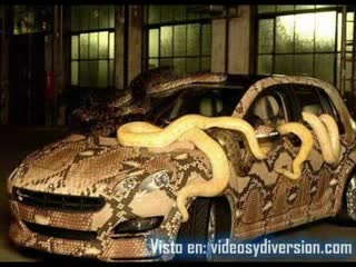 coches tuning