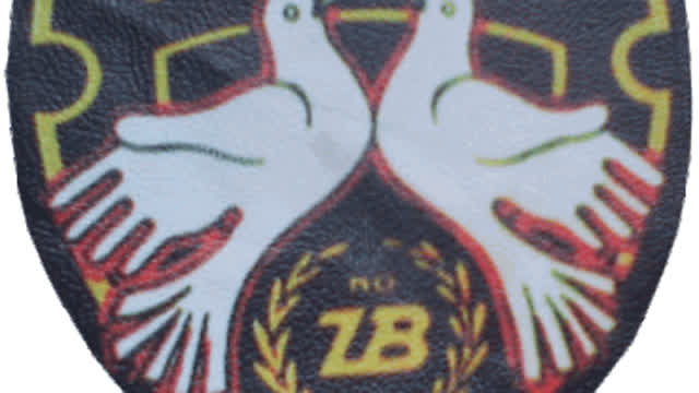Golubovi idu u boj (Best Quality Available)