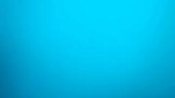 New Skype Ring Tone