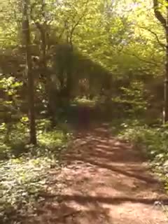 Auland - Auf dem Weg zur Au