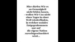 Sozialer Nationalismus. -