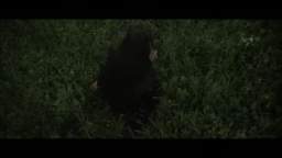 Loreen - Euphoria