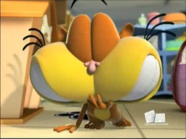 Voy