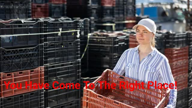 RentaCrate8 - Storage Crate Rental in Framingham, MA
