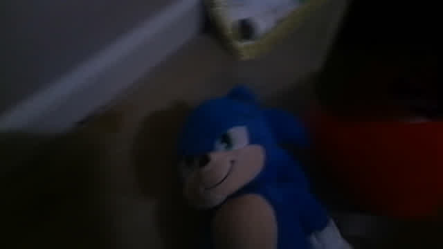 Sonic Meets Rounded Knuckles!!