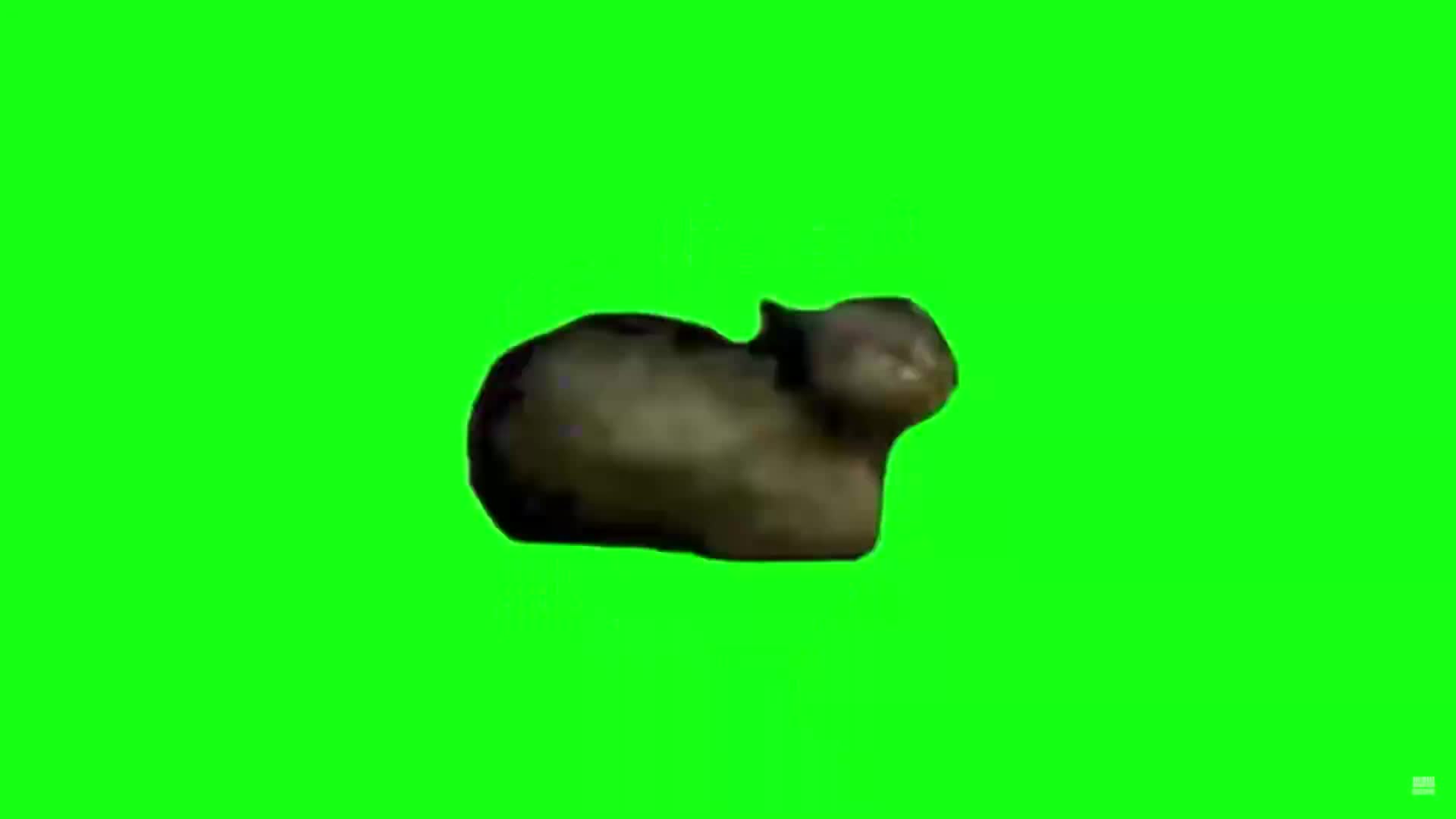 W&W - OIIA OIIA Spinning Cat