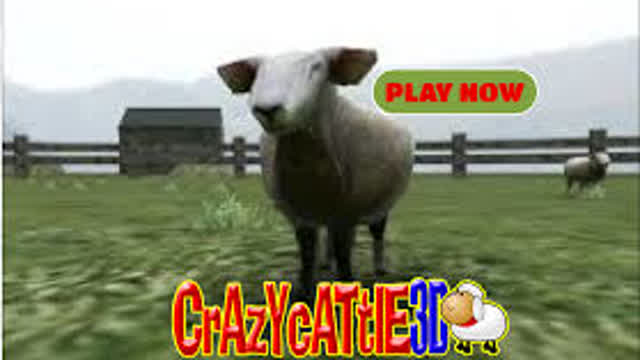 Some CrazyCattle3D