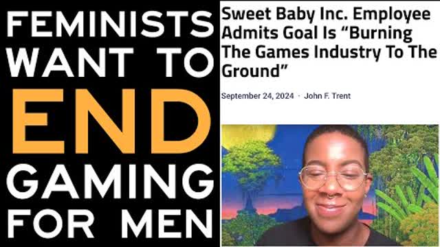 Sweet Baby Inc Is Not Out To Change Gaming, But Destroy It Completely
