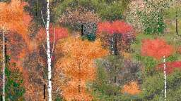 The Pixel Painter： A 97-Year-Old Man Who Draws Using Microsoft Paint from Windows 95 [UJ7jNgAKeHw]