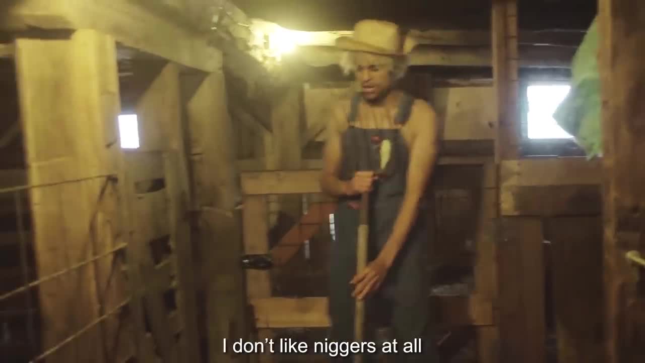 I Don't Like Niggers
