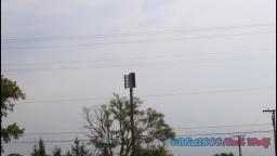 Whelen 3016│Monroe County, Michigan│8/26/2020